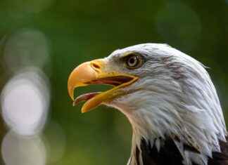 Aile Boyu Kombinler ile Şık ve Uyumlu Görünün Aile Boyu Kombinler ile Şık ve Uyumlu Görünün