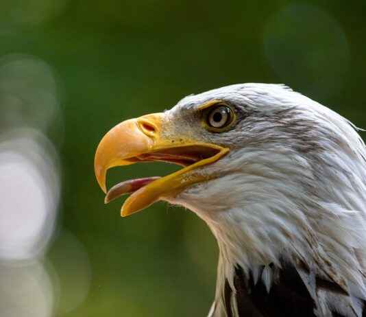 Aile Boyu Kombinler ile Şık ve Uyumlu Görünün Aile Boyu Kombinler ile Şık ve Uyumlu Görünün