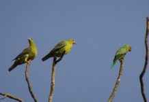 Annelerin En Çok Tercih Ettiği Markalar Annelerin En Çok Tercih Ettiği Markalar