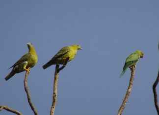 Annelerin En Çok Tercih Ettiği Markalar Annelerin En Çok Tercih Ettiği Markalar