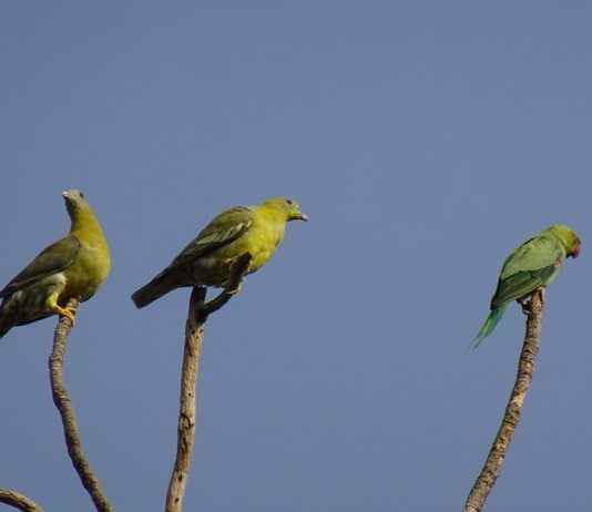 Annelerin En Çok Tercih Ettiği Markalar Annelerin En Çok Tercih Ettiği Markalar
