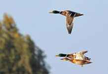 Bebekler İçin Yumuşak ve Cilt Dostu Seçimler Bebekler İçin Yumuşak ve Cilt Dostu Seçimler