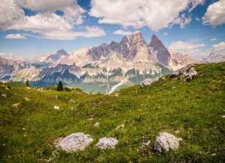 Dış Giyim Seçiminde Nelere Dikkat Edilmeli? Dış Giyim Seçiminde Nelere Dikkat Edilmeli?