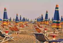 Eğlenceli Tişört ve Sweatshirt Tasarımları Eğlenceli Tişört ve Sweatshirt Tasarımları