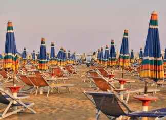 Eğlenceli Tişört ve Sweatshirt Tasarımları Eğlenceli Tişört ve Sweatshirt Tasarımları