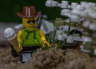 Erkek Çocuklar İçin En Trend Sweatshirtler Erkek Çocuklar İçin En Trend Sweatshirtler