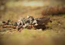 Kot ve Denim Modellerde Trendler Kot ve Denim Modellerde Trendler