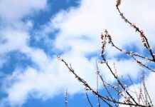 Mevsime Göre Doğru Giyim Seçimi Mevsime Göre Doğru Giyim Seçimi