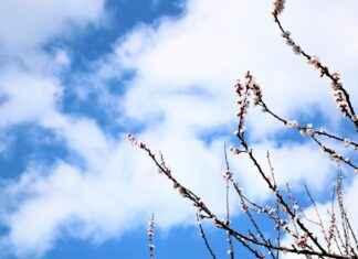 Mevsime Göre Doğru Giyim Seçimi Mevsime Göre Doğru Giyim Seçimi