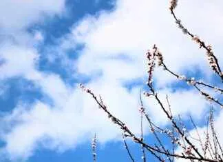 Mevsime Göre Doğru Giyim Seçimi Mevsime Göre Doğru Giyim Seçimi