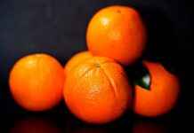 Organik Kumaş Kullanımının Önemi Organik Kumaş Kullanımının Önemi