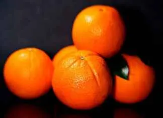 Organik Kumaş Kullanımının Önemi Organik Kumaş Kullanımının Önemi