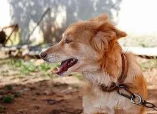 Sevimli ve Eğlenceli Desenlerle Renkli Seçimler Sevimli ve Eğlenceli Desenlerle Renkli Seçimler