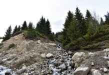 Sevimli ve Şık Şapka Modelleri Sevimli ve Şık Şapka Modelleri