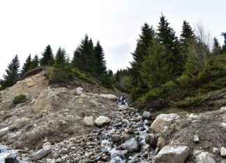 Sevimli ve Şık Şapka Modelleri Sevimli ve Şık Şapka Modelleri