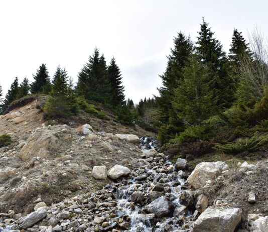 Sevimli ve Şık Şapka Modelleri Sevimli ve Şık Şapka Modelleri