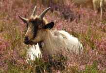 Şık ve Kullanışlı Okul Çantaları Şık ve Kullanışlı Okul Çantaları