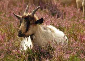 Şık ve Kullanışlı Okul Çantaları Şık ve Kullanışlı Okul Çantaları