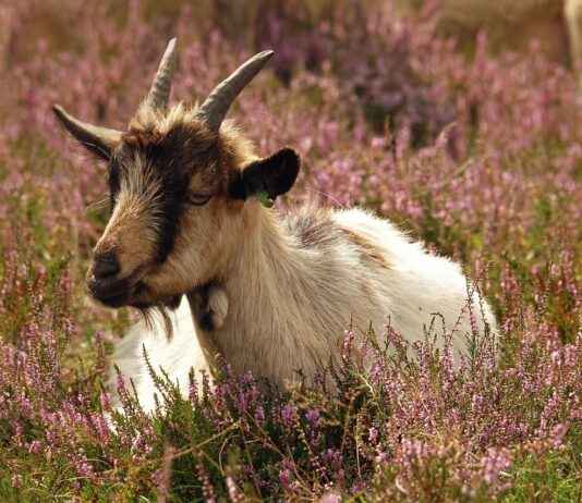 Şık ve Kullanışlı Okul Çantaları Şık ve Kullanışlı Okul Çantaları