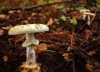 Spor ve Günlük Kullanım İçin Öneriler Spor ve Günlük Kullanım İçin Öneriler