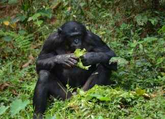 Yaş Gruplarına Göre Doğru Kumaş Seçimi Yaş Gruplarına Göre Doğru Kumaş Seçimi
