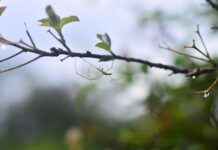 Yaşa Göre Giyim Seçimi Nasıl Yapılmalı? Yaşa Göre Giyim Seçimi Nasıl Yapılmalı?
