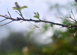 Yaşa Göre Giyim Seçimi Nasıl Yapılmalı? Yaşa Göre Giyim Seçimi Nasıl Yapılmalı?
