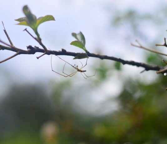 Yaşa Göre Giyim Seçimi Nasıl Yapılmalı? Yaşa Göre Giyim Seçimi Nasıl Yapılmalı?