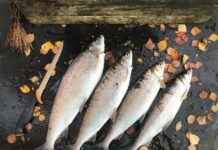 Yılbaşı ve Özel Günler İçin Şık Kıyafetler Yılbaşı ve Özel Günler İçin Şık Kıyafetler