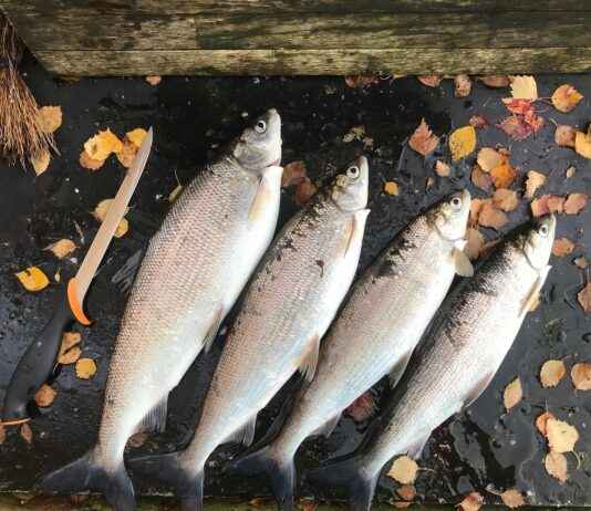 Yılbaşı ve Özel Günler İçin Şık Kıyafetler Yılbaşı ve Özel Günler İçin Şık Kıyafetler