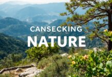 Doğa ile İletişim Kurmak: Türkiye’de Doğa Yürüyüşü Connecting with Nature: Hiking in Turkey