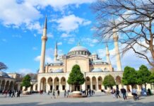 Şişli’de Gezilecek Yerler ve Eğlenceli Aktiviteler Places to Visit and Fun Activities in Şişli 1. **Cevahir Shopping Mall**: One of the largest shopping malls in Istanbul, offering a wide range of shops, restaurants, and entertainment options. 2. **Megacenter Shopping Mall**: Another popular shopping destination with numerous stores, a cinema, and a variety of dining options. 3. **Şişli Mosque**: A beautiful mosque with impressive architecture, offering a peaceful atmosphere for visitors. 4. **Milangaz Park**: A lovely park perfect for a relaxing walk, picnic, or outdoor activities. 5. **Nişantaşı**: A trendy neighborhood known for its upscale boutiques, cafes, and art galleries. 6. **Osmanbey**: A vibrant area with a mix of modern and traditional shops, restaurants, and street food options. 7. **Şişli Culture Center**: A cultural hub hosting various events, exhibitions, and performances throughout the year. 8. **Atakö