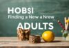 Yetişkinler İçin Hobiler: Yeni Bir Yön Bulmak Hobbies for Adults: Finding a New Direction