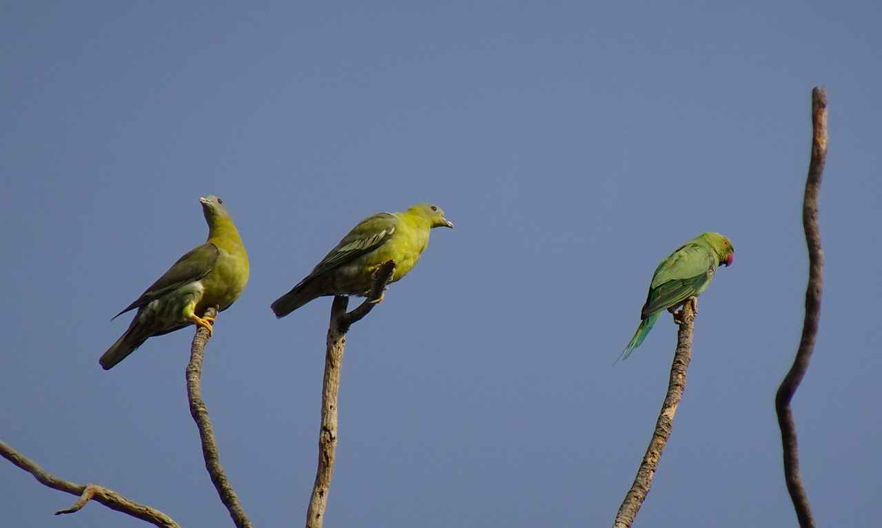 Annelerin En Çok Tercih Ettiği Markalar