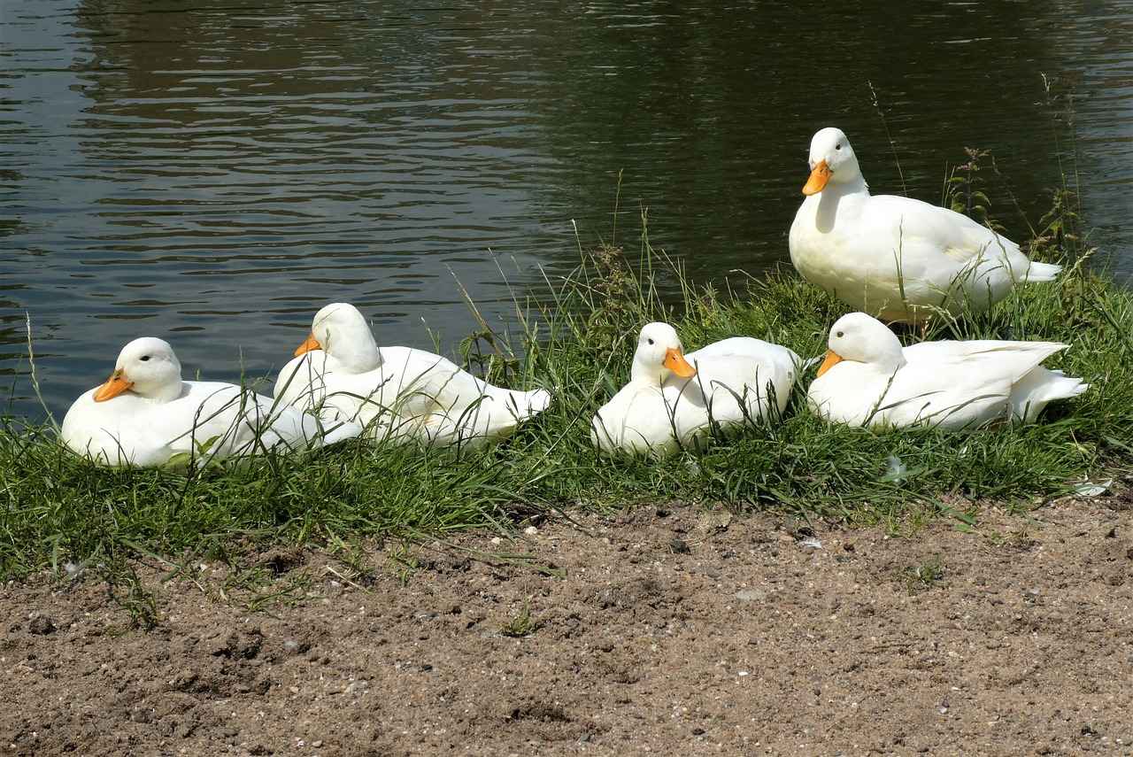 Bebekler İçin Yumuşacık Uyku Kıyafetleri