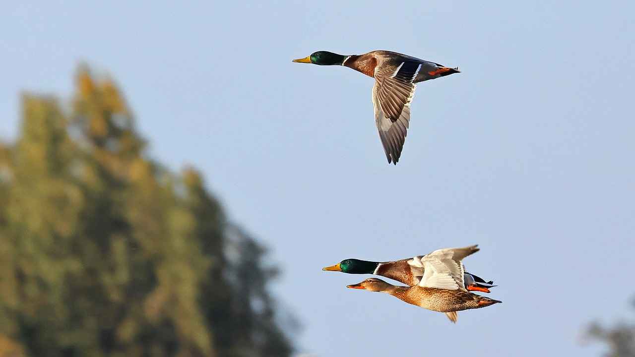 Bebekler İçin Yumuşak ve Cilt Dostu Seçimler