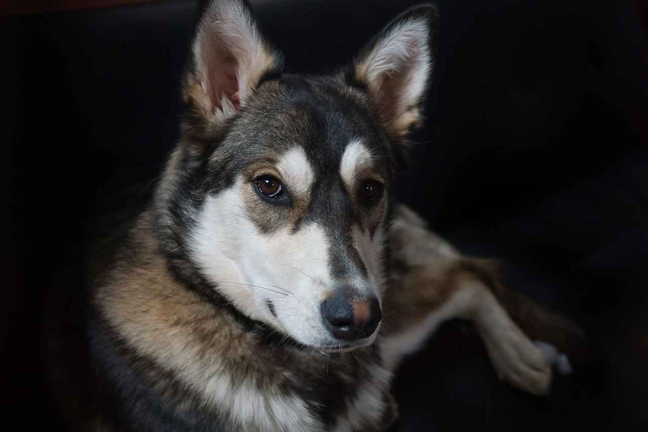 Çocuklar İçin En Rahat Kot Ceket Modelleri