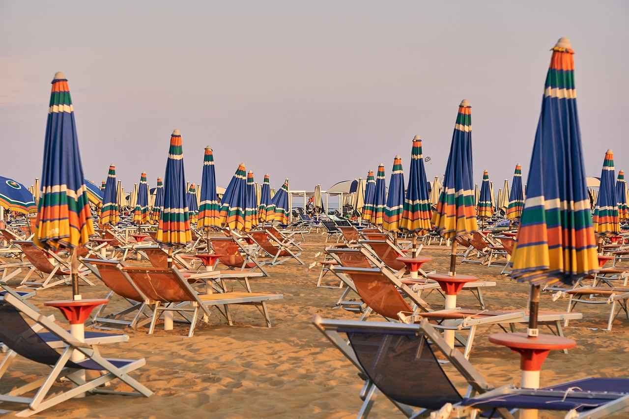 Eğlenceli Tişört ve Sweatshirt Tasarımları