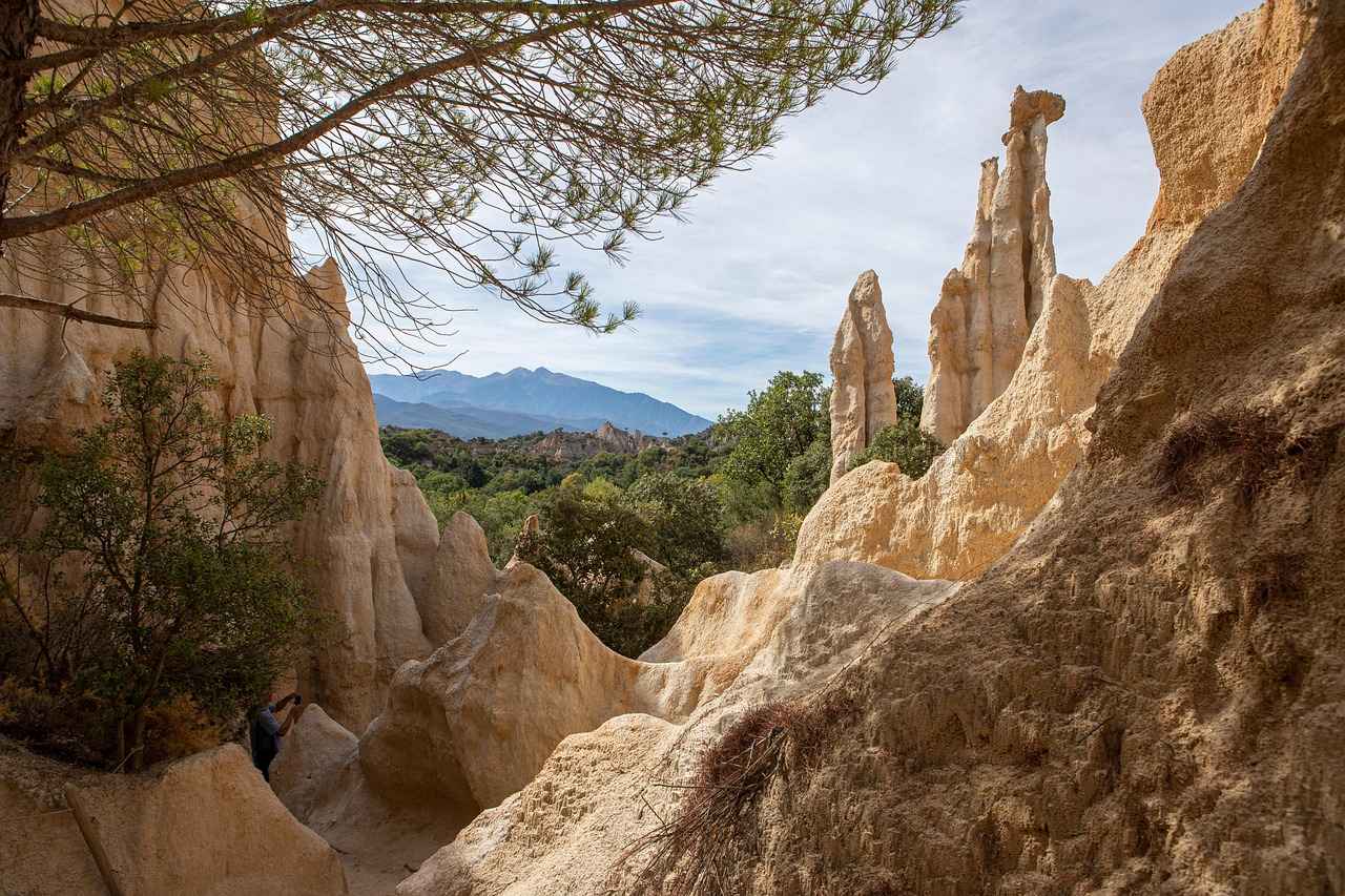 En Şık Örgü ve Triko Modeller