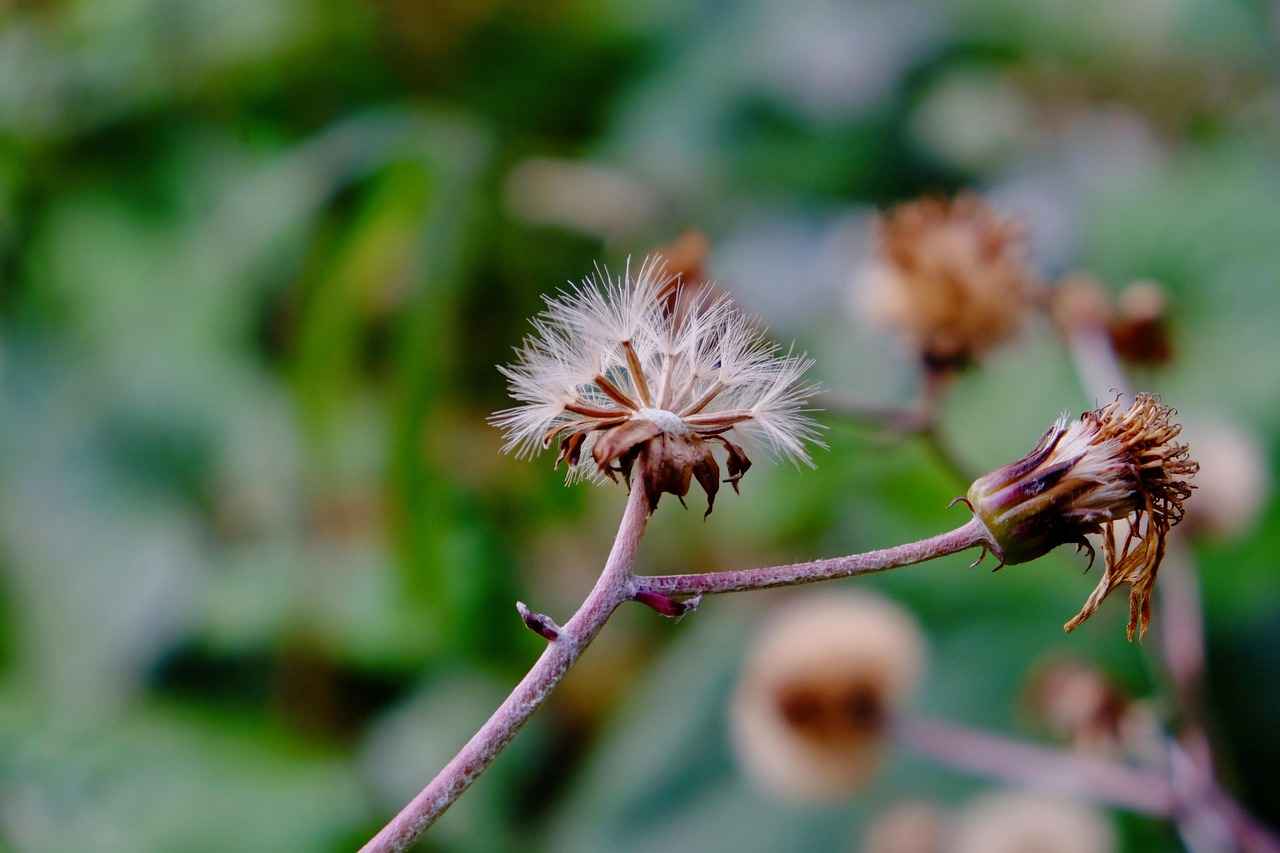 Günlük Kombinlerde Spor ve Şıklık Dengesi