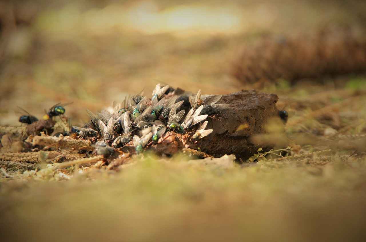 Kot ve Denim Modellerde Trendler