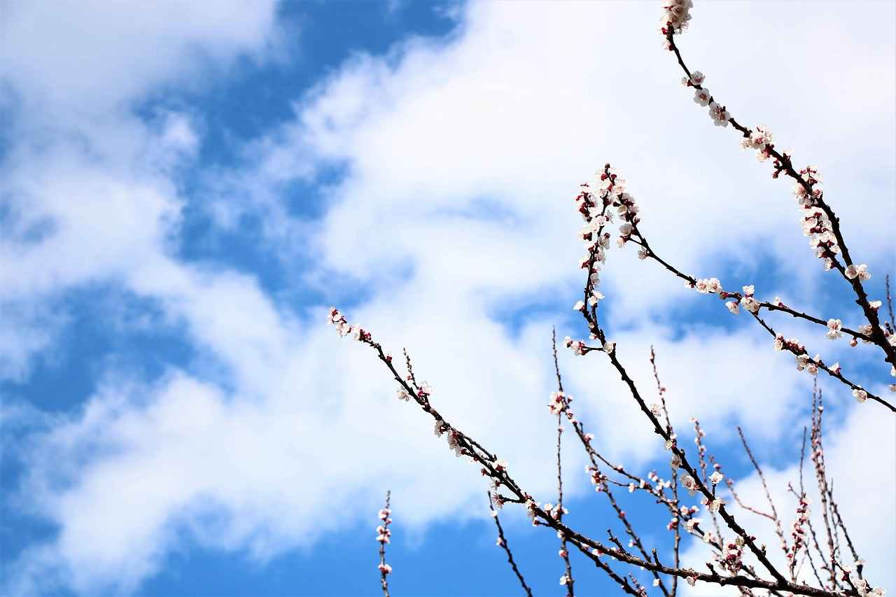 Mevsime Göre Doğru Giyim Seçimi