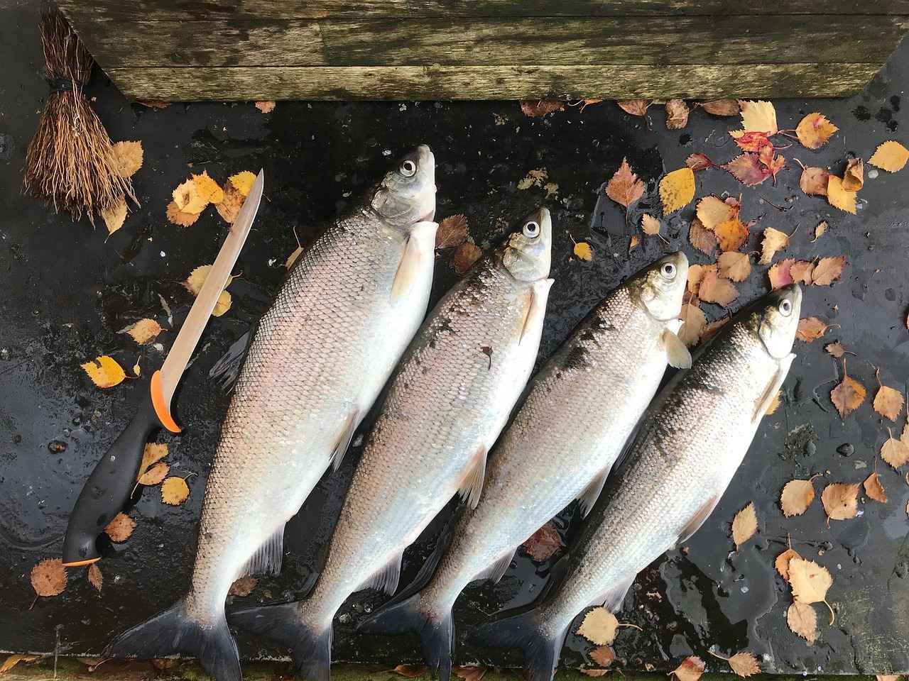 Yılbaşı ve Özel Günler İçin Şık Kıyafetler